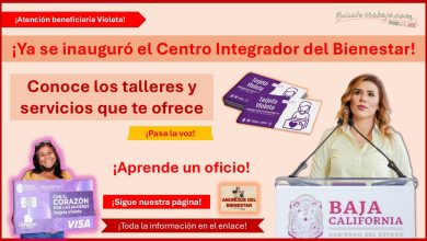 ¿Eres beneficiaria Violeta? - ¡Ya se inauguró el Centro Integrador del Bienestar! Conoce los talleres y servicios que te ofrece