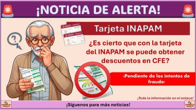 ¿Es cierto que con la tarjeta del INAPAM se puede obtener descuentos en CFE?