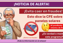 Esto dice la CFE sobre los paneles solares ¿Es verdad o mentira este programa?