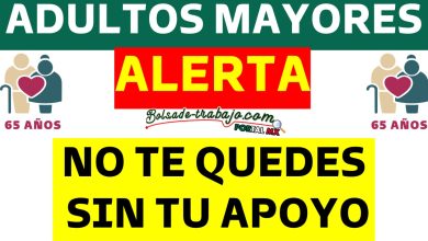 Alerta para Adultos Mayores de 65 años y más: Información Clave Sobre Pagos y Consejos para Evitar Fraudes