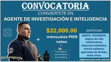 Gana un sueldo mensual de hasta $32,000.00 MXN netos como Agente de Investigación e Inteligencia de la SSPC ¡Esto necesitas para aplicar! 6 Gana un sueldo mensual de hasta $32,000.00 MXN netos como Agente de Investigación e Inteligencia de la SSPC ¡Esto necesitas para aplicar!