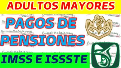 Información Importante sobre los Pagos de Pensiones IMSS e ISSSTE para los Queridos Beneficiarios Adultos Mayores de 65 Años en 2023