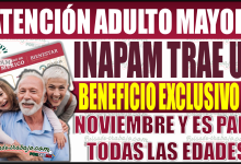 INAPAM lanza un beneficio exclusivo en noviembre para el público en general