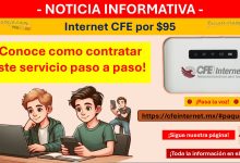 Internet CFE por $95 - ¡Conoce como contratar este servicio paso a paso!