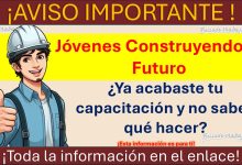 Jóvenes Construyendo el Futuro - ¿Ya acabaste tu capacitación y no sabes que hacer? Esta información es para ti