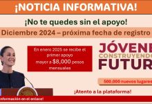 Jóvenes Construyendo el Futuro contará con 500,000 espacios para vincularte ¡Toma nota a esta fecha y recibe el primer pago de $8,000 mensuales en 2025!