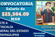 La Fiscalía General del Estado de Tamaulipas lanza convocatoria de empleo para abogado victimal con atractivo salario de $25,564.09 mensuales brutos, aquí te brindamos toda la información