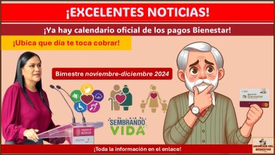 La Secretaría del Bienestar ha lanzado su calendario oficial de pagos bienestar - Bimestre noviembre-diciembre 2024/Ubica que día te toca cobrar