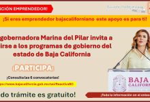 La gobernadora de Baja California Marina del Pilar invita a unirse a los programas de gobierno del estado de Baja California - ¡Si eres emprendedor bajacaliforniano este apoyo es para ti!