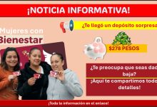 Mujeres con Bienestar Edomex ¿Recibiste un depósito con la referencia de asignación en línea, te preocupa que seas dada de baja? ¡Aquí te compartimos todos los detalles!