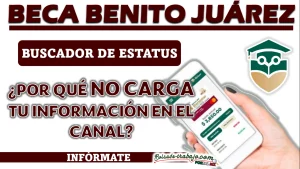 BUSCADOR DE ESTATUS| ¿CUÁL ES LA RAZÓN POR LA QUE NO CARGA MI INFORMACIÓN?