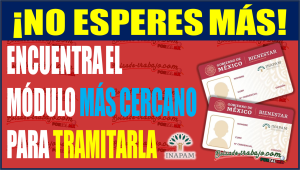 ¡No Esperes Más! Descubre cómo tramitar tu Tarjeta del INAPAM y ubica el módulo más cercano a tu hogar