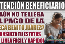 ¿No te llegó el pago de la Beca Benito Juárez? Aprende cómo consultar tu estatus en línea fácil y rápido