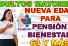 Nueva Propuesta Para La Pensión Bienestar En México