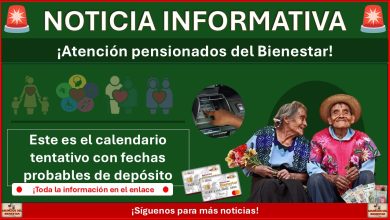 Pago de la Pensión Bienestar julio 2025: Este es el calendario tentativo con fechas probables de depósito