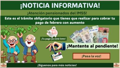 Pensión IMSS: Este es el trámite obligatorio que tienes que realizar para cobrar tu pago de febrero con aumento ¡Toma nota!