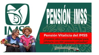 Pensión Vitalicia del IMSS: ¿Cuántos años necesitas trabajar para jubilarte con 850 semanas cotizadas?