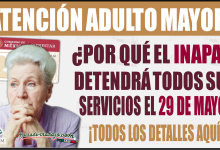 ¿Por qué INAPAM detendrá la entrega de tarjetas el 29 de mayo? ¡Entérate aquí!