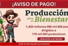 Producción para el Bienestar - ¡Ya hay fecha oficial del último pago del año, atento a esta fecha!