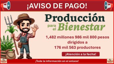 Producción para el Bienestar - ¡Ya hay fecha oficial del último pago del año, atento a esta fecha!