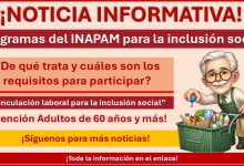 Programas del INAPAM para la inclusión social - ¿De qué trata y cuáles son los requisitos para participar?