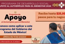 Recibe hasta $25,000 pesos para tu negocio con el Programa de Apoyo al Autoempleo para el Bienestar, conoce como aplicar a este programa del Gobierno del Estado de México