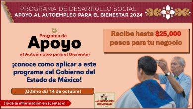 Recibe hasta $25,000 pesos para tu negocio con el Programa de Apoyo al Autoempleo para el Bienestar, conoce como aplicar a este programa del Gobierno del Estado de México