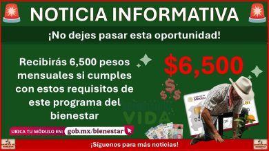 Recibirás 6,500 pesos mensuales si cumples con estos requisitos de este programa del bienestar