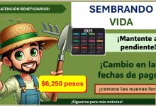 Sembrando Vida lanza importante mensaje de pago a sus beneficiarios ¡Hay cambio de fecha de depósitos!