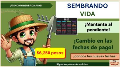 Sembrando Vida lanza importante mensaje de pago a sus beneficiarios ¡Hay cambio de fecha de depósitos!