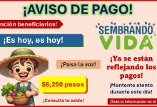 Sembrando Vida - ¡Buenas noticias! El pago de $6,250 pesos se ha adelantado, conoce toda la información aquí