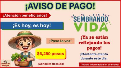 Sembrando Vida - ¡Buenas noticias! El pago de $6,250 pesos se ha adelantado, conoce toda la información aquí