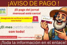 Sembrando vida ya tiene fecha de pago - ¡Este mes patrio viene con todo!