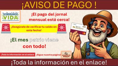 Sembrando vida ya tiene fecha de pago - ¡Este mes patrio viene con todo!