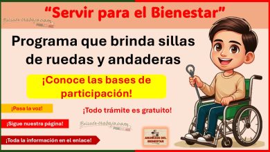 “Servir para el Bienestar” – Programa que brinda sillas de ruedas y andaderas ¡Conoce las bases de participación!