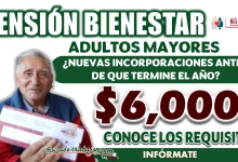 PENSIÓN BIENESTAR| ¿HABRÁ UNA ÚLTIMA CONVOCATORIA ANTES DE QUE TERMINE ESTE 2024?