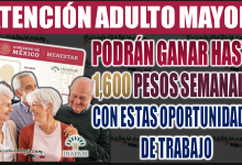 Tarjeta INAPAM: Adultos Mayores podrán ganar hasta 1,600 pesos semanales con estas oportunidades