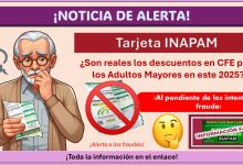 Tarjeta INAPAM ¿Son reales los descuentos en CFE para los Adultos Mayores en este 2025? ¡Al pendiente de los intentos de fraude!