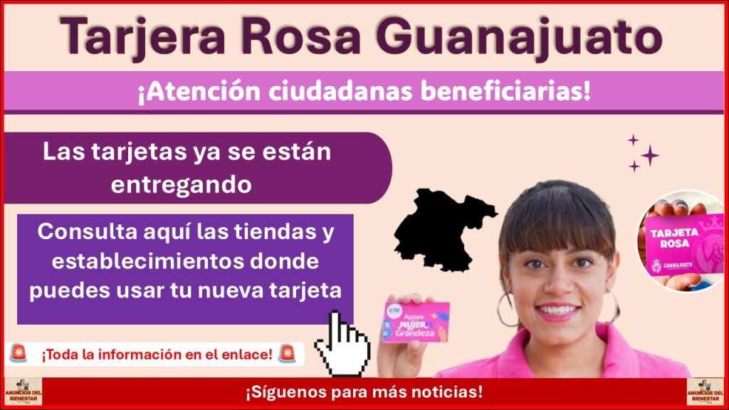 Tarjeta Rosa Guanajuato: Consulta aquí las tiendas y establecimientos donde puedes usar tu nueva tarjeta