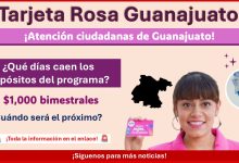 Tarjeta Rosa Guanajuato: ¿Qué días caen los depósitos del programa?