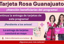 Tarjeta Rosa: La entrega de tarjetas concluirá en mayo para nuevas beneficiarias