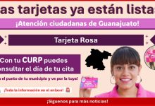 Tarjeta Rosa en Guanajuato: Con tu CURP puedes consultar el día de tu cita ¡Así lo puedes hacer!