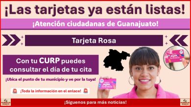 Tarjeta Rosa en Guanajuato: Con tu CURP puedes consultar el día de tu cita ¡Así lo puedes hacer!