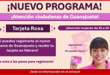 Tarjeta Rosa en Guanajuato ¡Así puedes registrarte al nuevo programa de Guanajuato y recibir tu tarjeta en febrero!