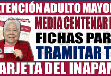 Tehuacán: ¡Medio centenar de fichas diarias disponibles para tramitar tu tarjeta INAPAM!