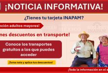 ¿Tienes tarjeta INAPAM? Conoce los transportes gratuitos a los que puedes acceder