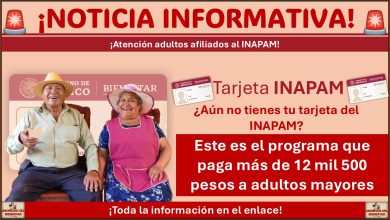 ¿Tienes tarjeta del INAPAM? Este es el programa que paga más de 12 mil 500 pesos a adultos mayores