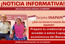 ¿Tienes tarjeta del INAPAM? Prepara tu credencial para acceder a estos 3 apoyos económicos del Bienestar