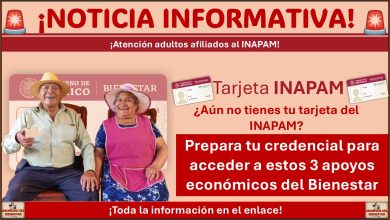 ¿Tienes tarjeta del INAPAM? Prepara tu credencial para acceder a estos 3 apoyos económicos del Bienestar