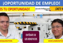 Empleos en Volkswagen en Puebla y Silao